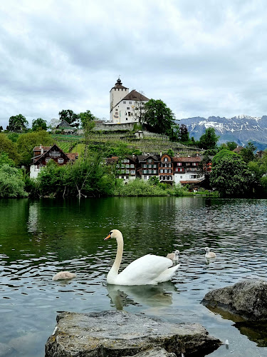 Werdenbergersee - Buchs