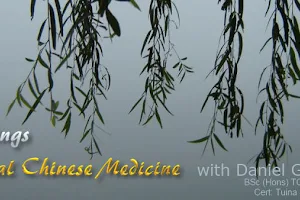 Highest Springs Acupuncture and Herbal medicine image