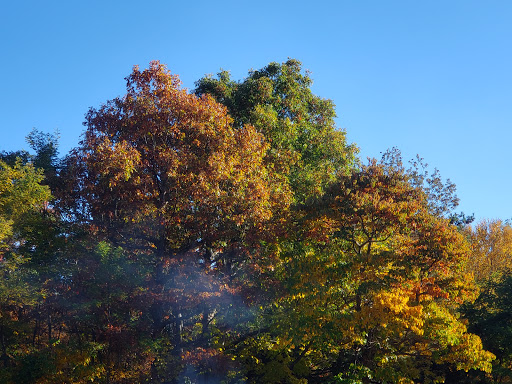 National Park «Shenandoah National Park», reviews and photos
