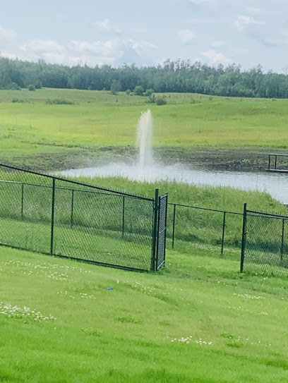 Edmonton Irrigation Inc