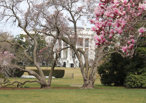 Federal Government Office «The White House», reviews and photos, 1600 Pennsylvania Ave NW, Washington, DC 20500, USA