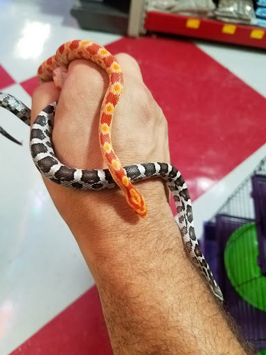 Pet Store «Pet Goods», reviews and photos, 1125 Central Park Ave, Scarsdale, NY 10583, USA