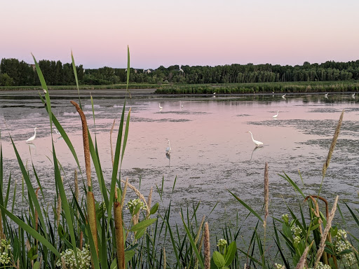 Gym «Life Time Athletic», reviews and photos, 755 Prairie Center Dr, Eden Prairie, MN 55344, USA