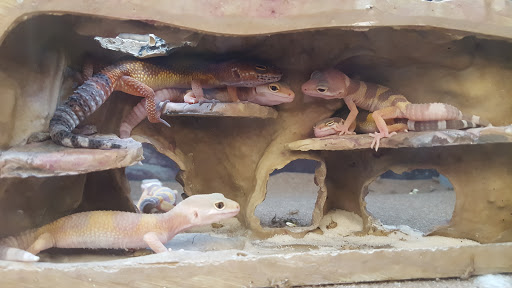 Pet Supply Store «Petco Animal Supplies», reviews and photos, 1337 N National Rd, Columbus, IN 47201, USA