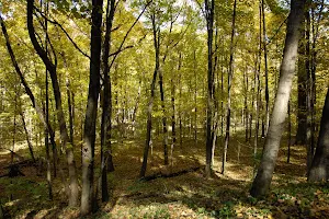 Chief Shabbona County Forest Preserve image