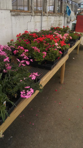 Cabinet Maker «Stoltzfus Cabinet Shop», reviews and photos, 337 S State St, Talmage, PA 17580, USA