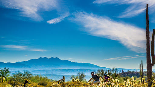 Bicycle Store «McDowell Mountain Cycles», reviews and photos, 11879 N Saguaro Blvd, Fountain Hills, AZ 85268, USA