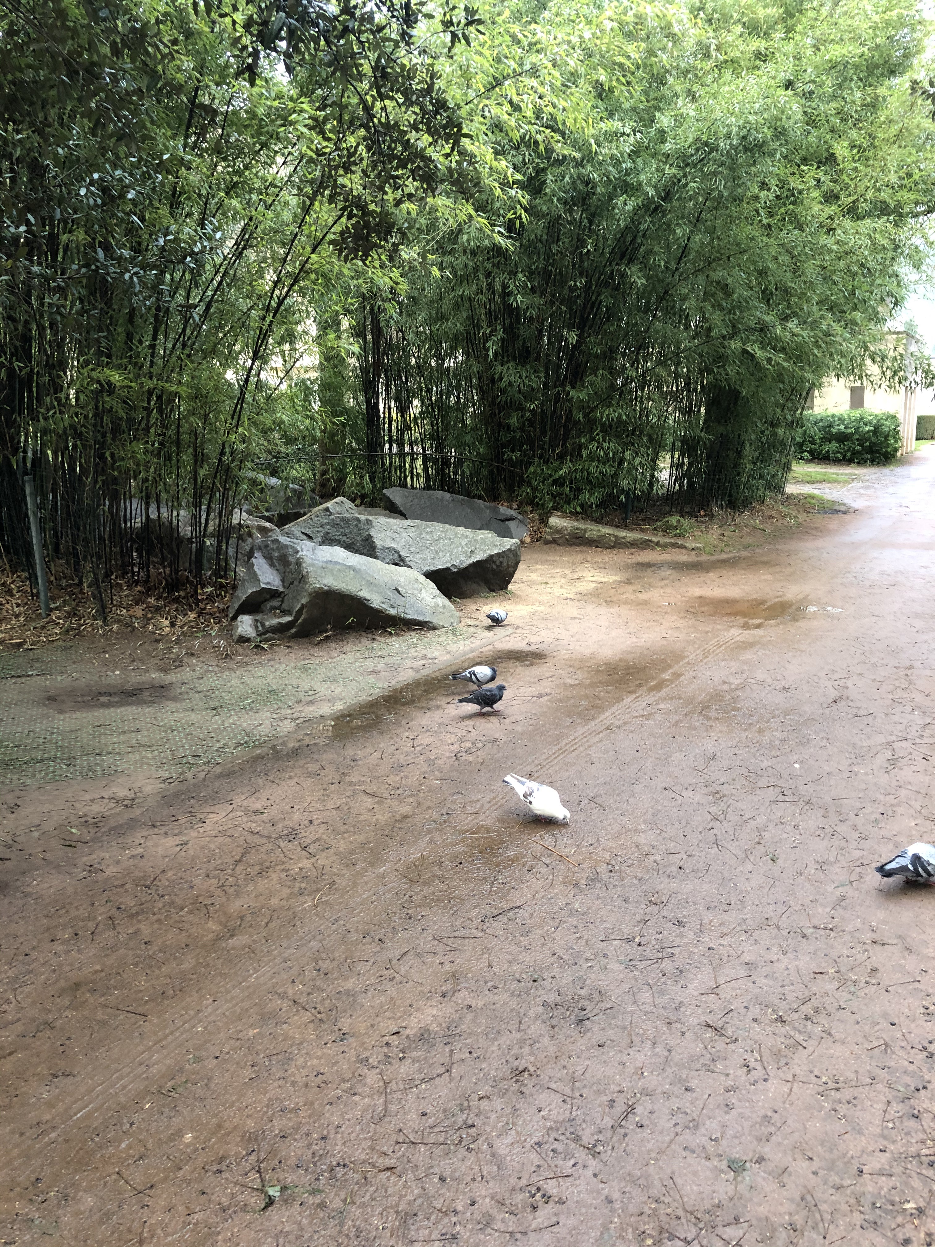 Photo n° 1 de l'avis de Jean.o fait le 22/11/2018 à 10:25