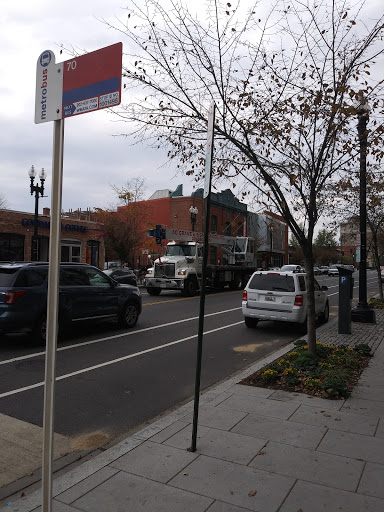 Non-Profit Organization «Bread for the City», reviews and photos