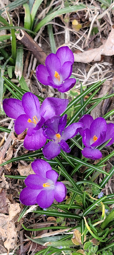 National Park «Fort Hunt Park», reviews and photos, 8999 Fort Hunt Rd, Alexandria, VA 22308, USA