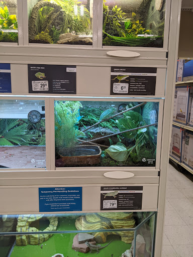 Pet Supply Store «PetSmart», reviews and photos, 2840 W Chandler Blvd, Chandler, AZ 85224, USA