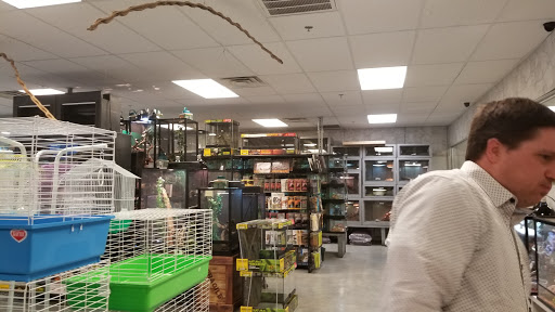 Pet Store «Exotic Pets», reviews and photos, 2410 N Decatur Blvd #160, Las Vegas, NV 89108, USA