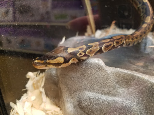 Pet Supply Store «PetSmart», reviews and photos, 132 NJ-31, Flemington, NJ 08822, USA