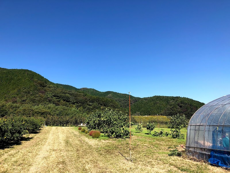 西条市立田滝小学校