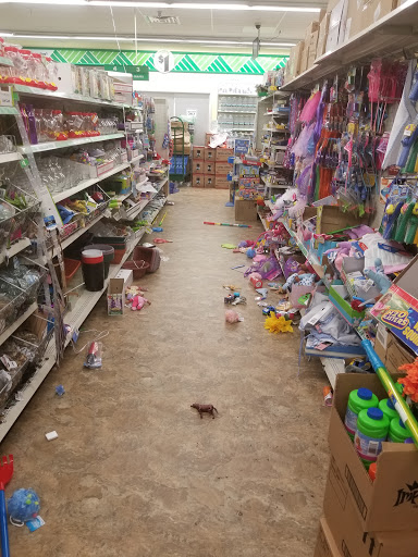 Dollar Store «Dollar Tree», reviews and photos, 125 Essex St, Maywood, NJ 07607, USA