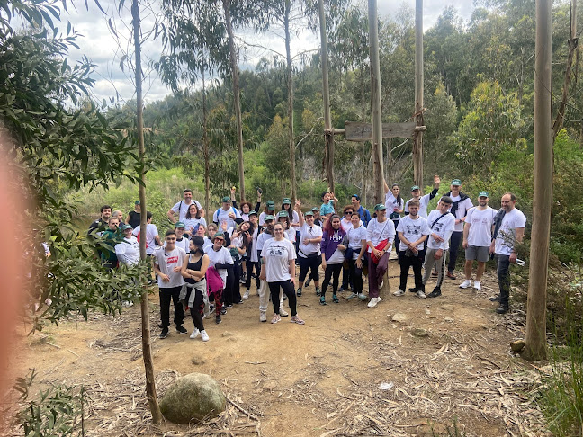 Avaliações doDesfrutar Eventos em Vila Nova de Gaia - Empresa de organização de eventos