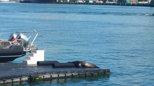 Tourist Attraction «LA Waterfront», reviews and photos, 600 Sampson Way, San Pedro, CA 90731, USA