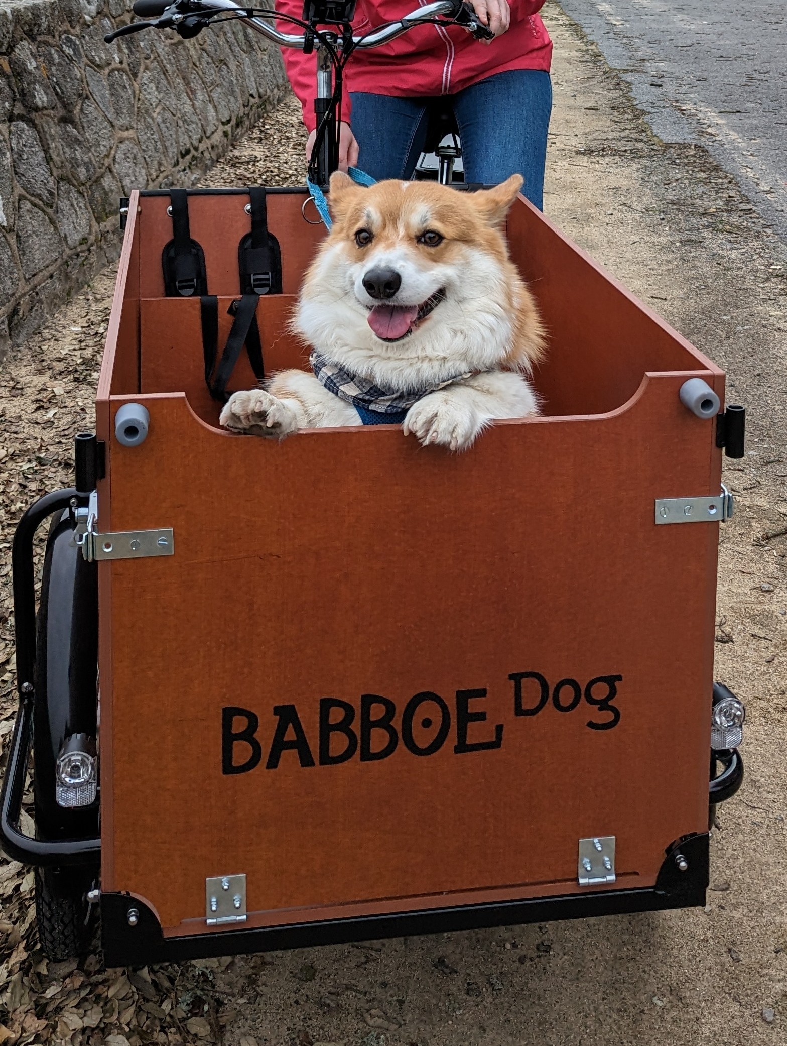 Photo n° 1 de l'avis de Julien. fait le 04/02/2023 à 21:46