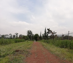 The Park CHILDREN photo