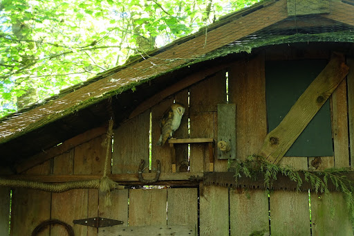 Zoo «Northwest Trek Wildlife Park», reviews and photos, 11610 Trek Dr E, Eatonville, WA 98328, USA