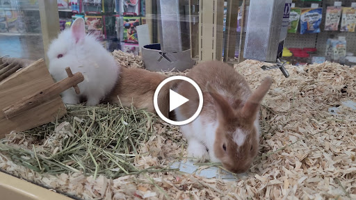 Pet Supply Store «Pet Supermarket», reviews and photos, 11160 Panama City Beach Pkwy #402, Panama City Beach, FL 32407, USA