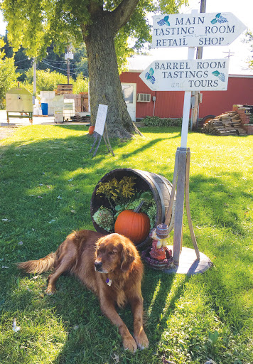 Winery «Galena Cellars Vineyard», reviews and photos, 4746 N Ford Rd, Galena, IL 61036, USA