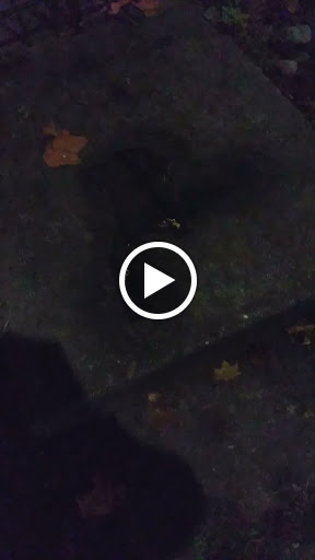 Drug Store «Bartell Drugs Broadway», reviews and photos, 1825 Broadway, Everett, WA 98201, USA