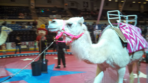 Event Venue «Dow Event Center», reviews and photos, 303 Johnson St, Saginaw, MI 48607, USA