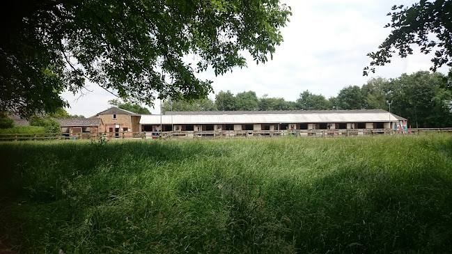 Reviews of Blaby Mill Stables in Leicester - School