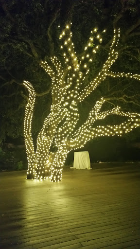 Wedding Venue «La Paloma Event Center», reviews and photos, 14913 Murfin Rd, Austin, TX 78734, USA