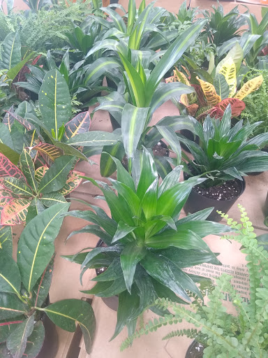 Produce Market «Produce Junction Inc», reviews and photos, 265 S Easton Rd, Glenside, PA 19038, USA