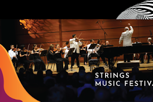 Strings Music Festival image