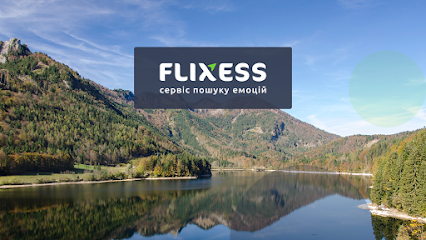 FLIXESS – Сервіс пошуку емоцій