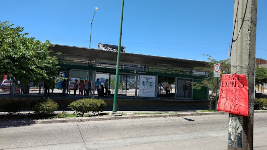 Gestoría Navarrete Blvd. San Juan Bosco 1716, Vista Hermosa, 37330 León de los Aldama, Gto., México