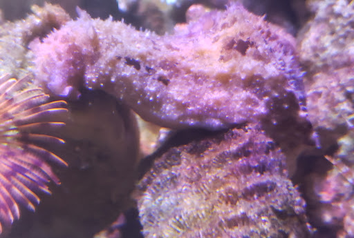 Pet Supply Store «Petco Animal Supplies», reviews and photos, 3731 Gateway Dr, Eau Claire, WI 54701, USA