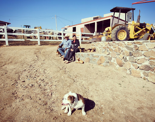 Boxing Gym «Legendz Fitness & Training Center», reviews and photos, 1603 Almaden Rd, San Jose, CA 95125, USA