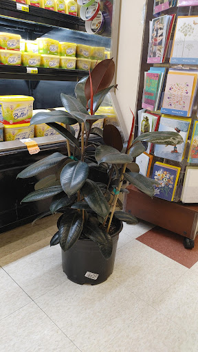 Supermarket «Jons Marketplace», reviews and photos, 6655 Van Nuys Blvd, Van Nuys, CA 91405, USA