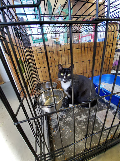 Pet Supply Store «Saluda River Pet», reviews and photos, 130 Robin Helton Dr, Boiling Springs, SC 29316, USA