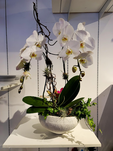 Florist «Mia fiori», reviews and photos, 5840 Legacy Cir D165, Plano, TX 75024, USA