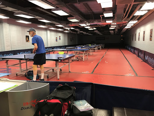 Table Tennis Minnesota