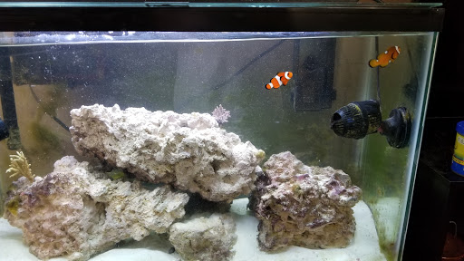 Pet Store «Pet Central», reviews and photos, 1200 Smallhouse Rd, Bowling Green, KY 42104, USA