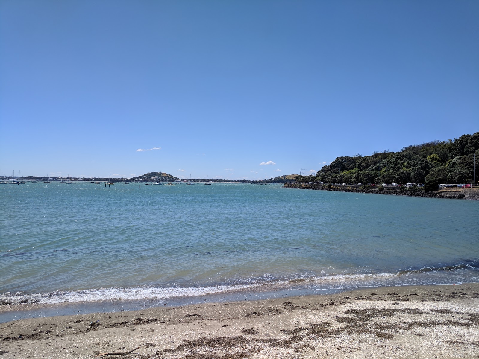 Okahu Bay Beach的照片 带有碧绿色纯水表面