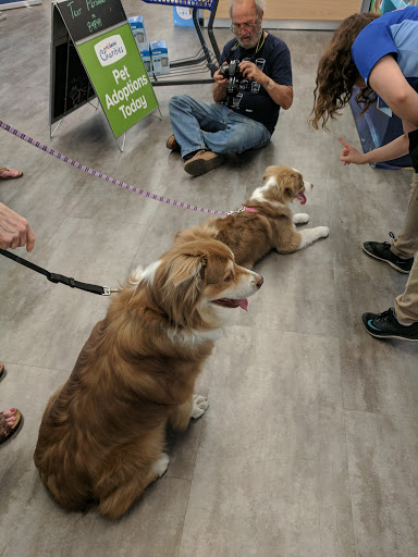 Pet Store «PetSmart», reviews and photos, 17150 Ventura Blvd, Encino, CA 91316, USA