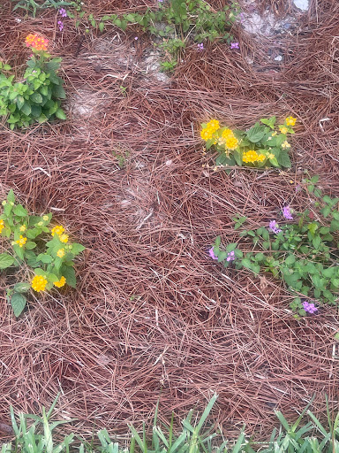 Explore dissociation tattoo ideas, creative tattoo ideas in Orange Park, available at Big City Tattoo and Piercing