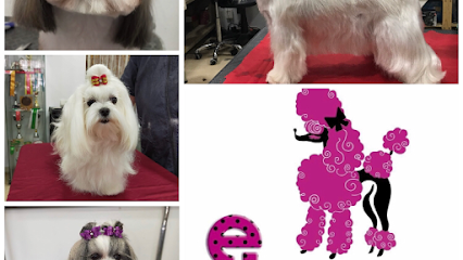 Peluquería Canina y Spa Elena - Servicios para mascota en Madrid