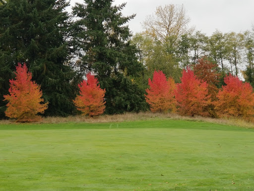 Golf Course «Mint Valley Golf Course», reviews and photos, 4002 Pennsylvania St, Longview, WA 98632, USA