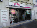 PULSAT Saumur