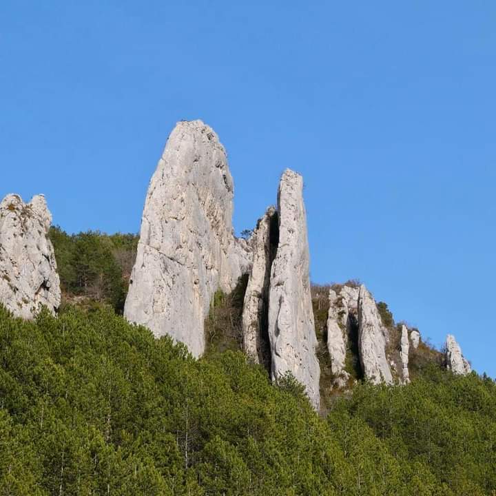 Photo n° 1 de l'avis de Michel.e fait le 24/03/2021 à 16:40