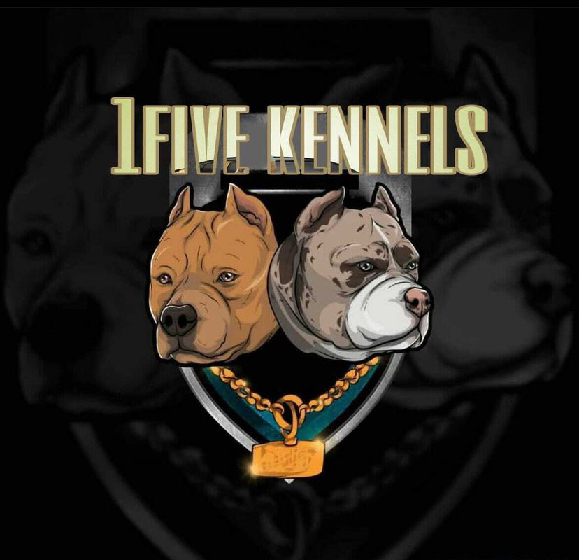 1FiveKennels