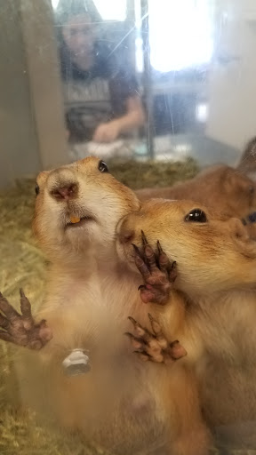 Pet Store «Animal Ark», reviews and photos, 2730 Brookdale Dr, Kingwood, TX 77339, USA